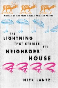Book Cover for The Lightning That Strikes the Neighbors' House by Nick Lantz
