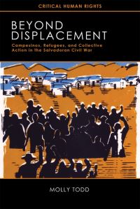 Book Cover for Beyond Displacement by Molly Todd