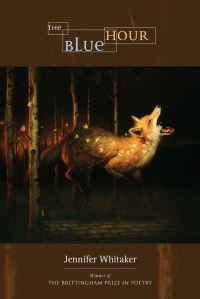 Book Cover for The Blue Hour by Jennifer Whitaker