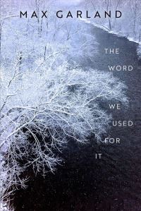 Book Cover for The Word We Used for It by Max Garland