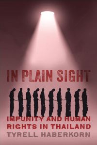 Book Cover for In Plain Sight by Tyrell Haberkorn