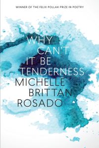 Book Cover for Why Can't It Be Tenderness by Michelle Brittan Rosado