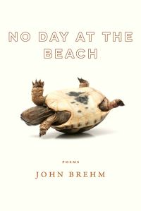 Book Cover for No Day at the Beach by John Brehm