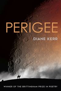 Book Cover for Perigee by Diane Kerr