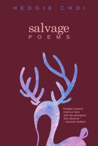 Book Cover for Salvage by Hedgie Choi