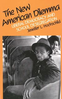 Book Cover for The New American Dilemma by Jennifer L Hochschild