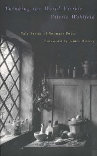 Book Cover for Thinking the World Visible by Valerie Wohlfeld