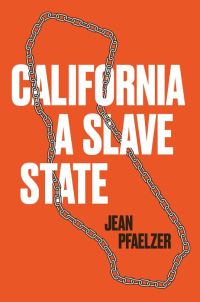 Book Cover for California, a Slave State by Jean Pfaelzer