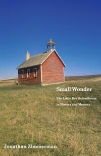 Book Cover for Small Wonder by Jonathan Zimmerman