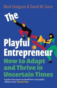 Book Cover for The Playful Entrepreneur by Mark Dodgson, David Gann