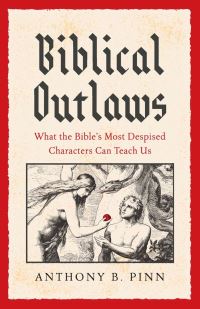 Book Cover for Biblical Outlaws by Anthony B Pinn