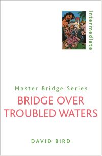 Book Cover for Bridge Over Troubled Waters by David Bird