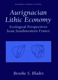 Book Cover for Aurignacian Lithic Economy by Brooke S Blades