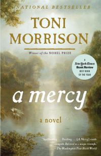 Book Cover for A Mercy by Toni Morrison