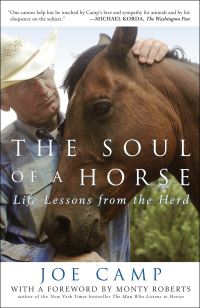 Book Cover for The Soul of a Horse by Joe Camp