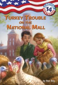 Book Cover for Turkey Trouble on the National Mall by Ron Roy