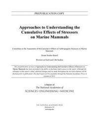 Book Cover for Approaches to Understanding the Cumulative Effects of Stressors on Marine Mammals by Engineering, and Medicine US National Academies of Sciences
