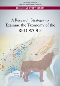 Book Cover for A Research Strategy to Examine the Taxonomy of the Red Wolf by Engineering, and Medicine US National Academies of Sciences