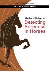 Book Cover for A Review of Methods for Detecting Soreness in Horses by National Academies Press US, Engineering, and Medicine US National Academies of Sciences