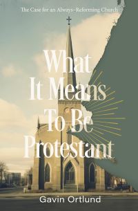 Book Cover for What It Means to Be Protestant by Gavin Ortlund
