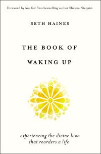 Book Cover for The Book of Waking Up by Seth Haines