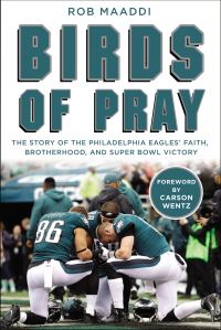 Book Cover for Birds of Pray by Rob Maaddi