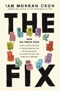 Book Cover for The Fix by Ian Morgan Cron
