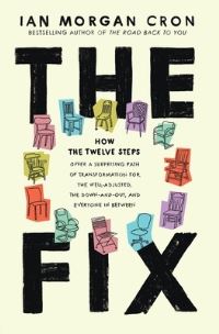 Book Cover for The Fix by Ian Morgan Cron