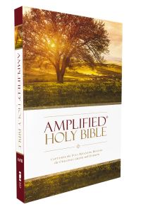 Book Cover for Amplified Holy Bible, Paperback by Zondervan