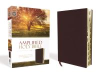 Book Cover for Amplified Holy Bible, Bonded Leather, Burgundy, Thumb Indexed by Zondervan