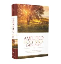 Book Cover for Amplified Holy Bible, Large Print, Hardcover by Zondervan