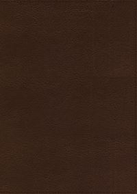 Book Cover for The Holy Bible by 