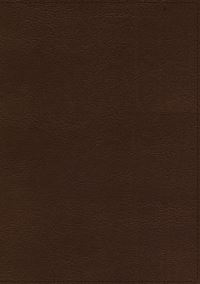 Book Cover for The Holy Bible by 