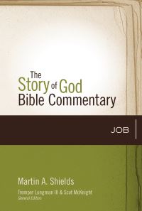 Book Cover for Job by Martin A Shields