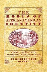 Book Cover for The Roots of African-American Identity by Na Na