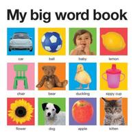 Book Cover for My Big Word Book by Roger Priddy
