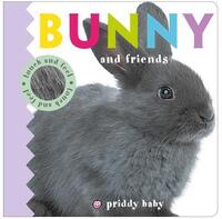 Book Cover for Bunny and Friends by Roger Priddy