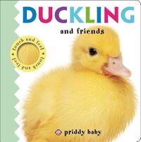 Book Cover for Duckling and Friends by Ellie Boultwood, Hannah Cockayne, Amy Oliver