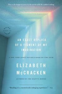 Book Cover for An Exact Replica of a Figment of My Imagination by Elizabeth McCracken
