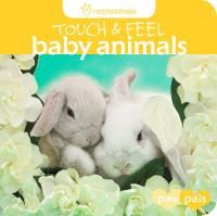 Book Cover for Baby Animals by Rachael McKenna
