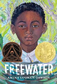 Book Cover for Freewater by Amina LuqmanDawson