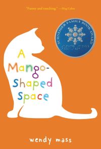 Book Cover for A Mango-Shaped Space by Wendy Mass
