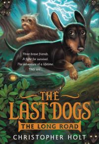 Book Cover for The Long Road by Christopher Holt