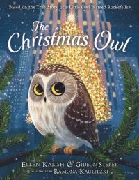 Book Cover for The Christmas Owl by Ellen Kalish, Gideon Sterer