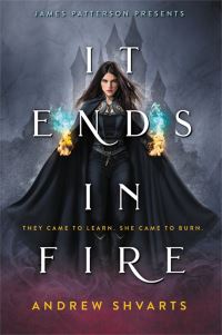 Book Cover for It Ends in Fire by Andrew Shvarts