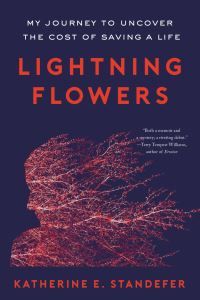 Book Cover for Lightning Flowers by Katherine E Standefer