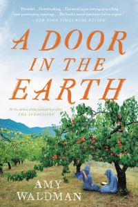 Book Cover for A Door in the Earth by Amy Waldman