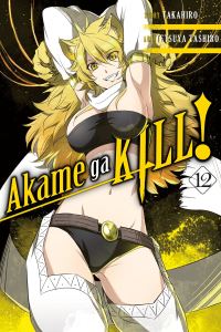 Book Cover for Akame Ga Kill!. Vol. 12 by Takahiro
