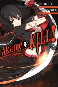 Book Cover for Akame Ga Kill!. 13 by Takahiro