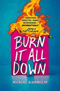 Book Cover for Burn It All Down by Nicolas DiDomizio